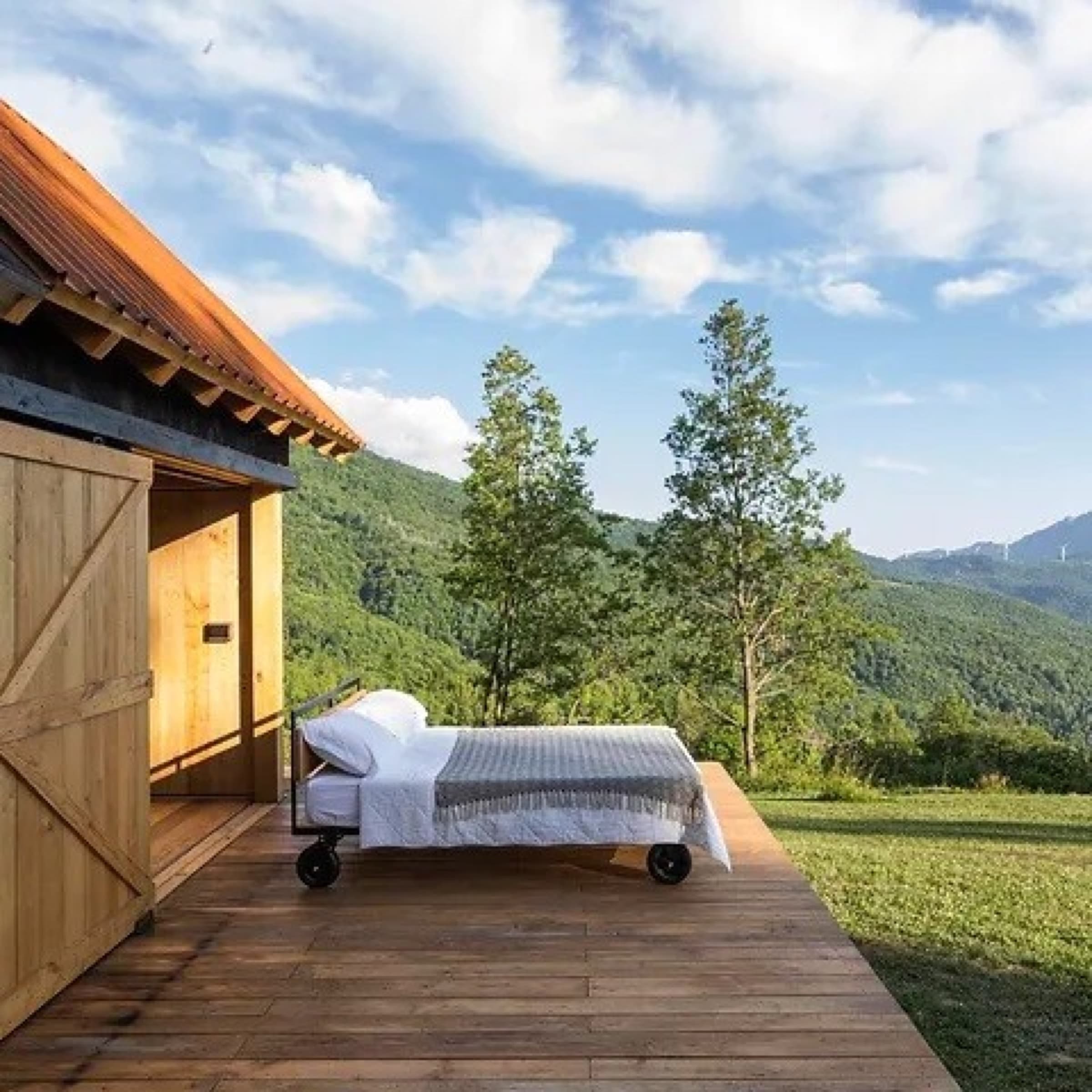 Reference image: a small unexpected design feature, the kind of quirk a guest discovers walking through the grove
