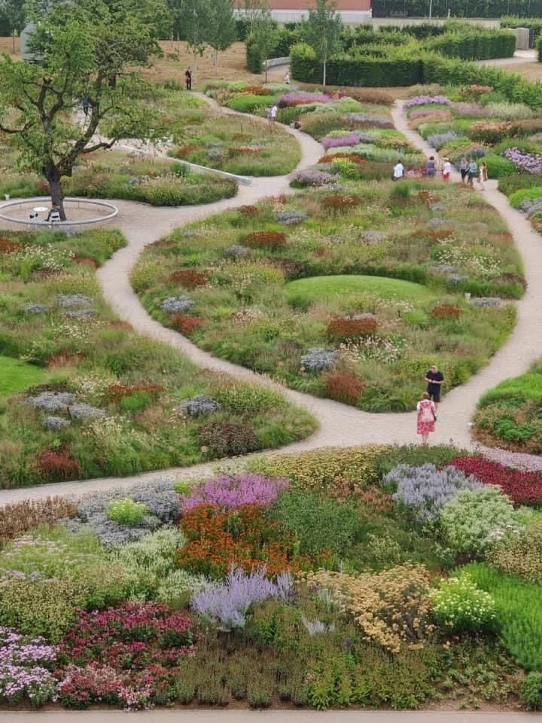 Reference image: a walkway threading through architecture and landscape