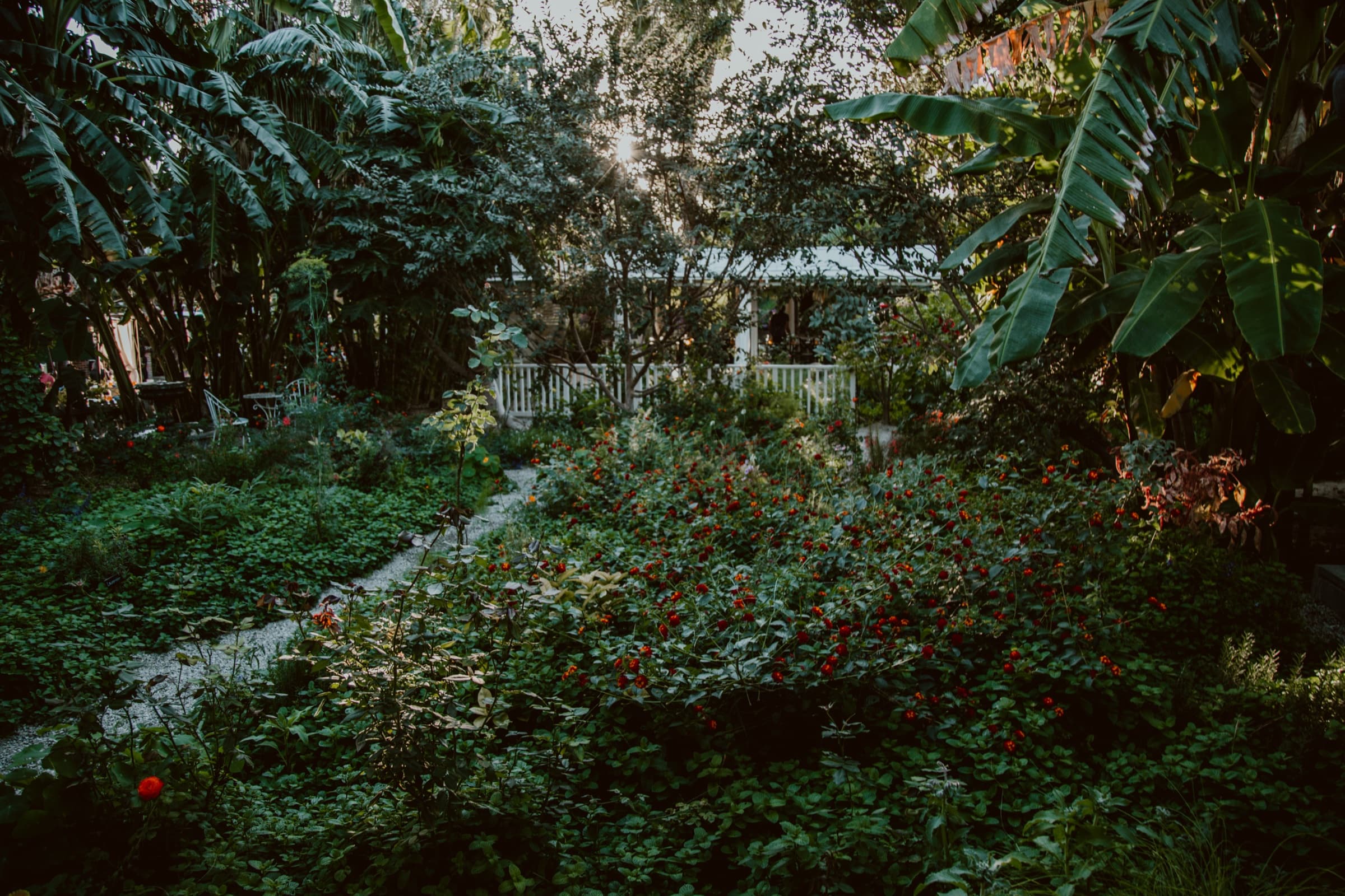 Dense lush garden surrounding the Flora Farms spa with tropical plants, red flowering shrubs, and a winding pathway