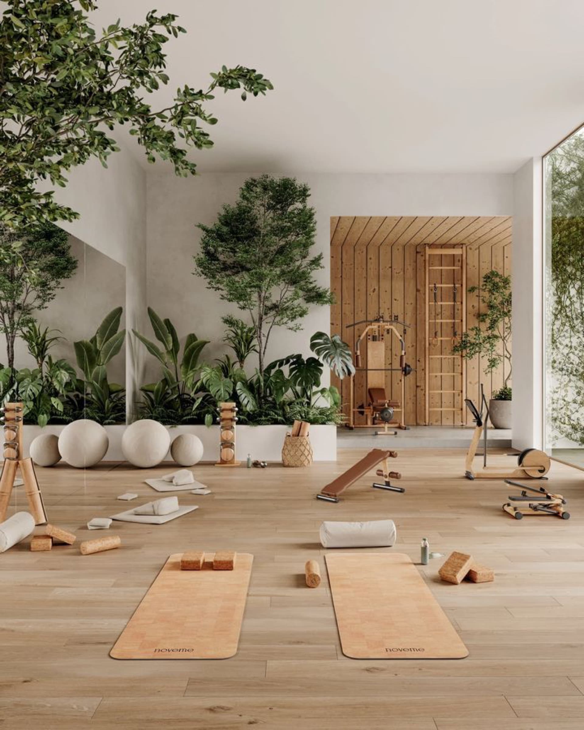 Gym training space reference: high-performance equipment, daylight, athletic atmosphere