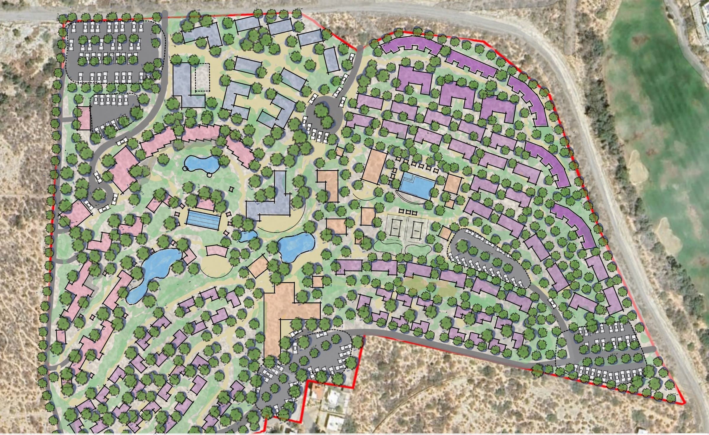 Conceptual illustrative masterplan of Vitality Grove showing the village layout, the grove, and the surrounding Puerto Los Cabos context